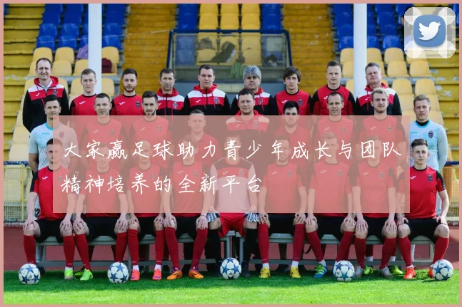 大家赢足球助力青少年成长与团队精神培养的全新平台