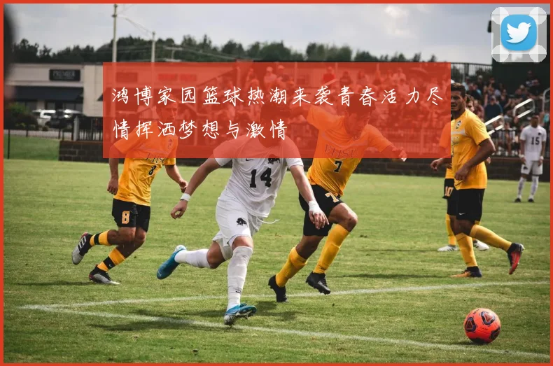 鸿博家园篮球热潮来袭青春活力尽情挥洒梦想与激情