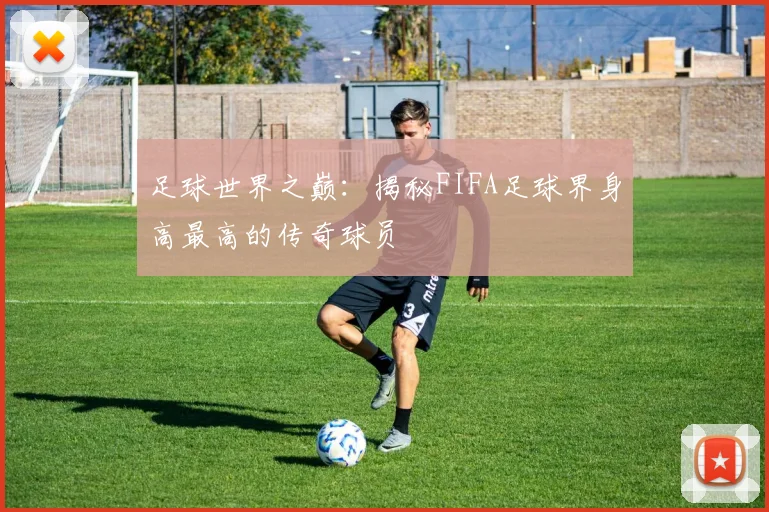 足球世界之巅：揭秘FIFA足球界身高最高的传奇球员