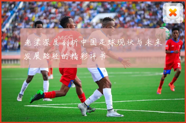 老梁深度剖析中国足球现状与未来发展路径的精彩评书