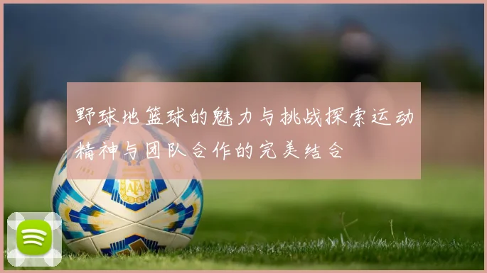 野球地篮球的魅力与挑战探索运动精神与团队合作的完美结合