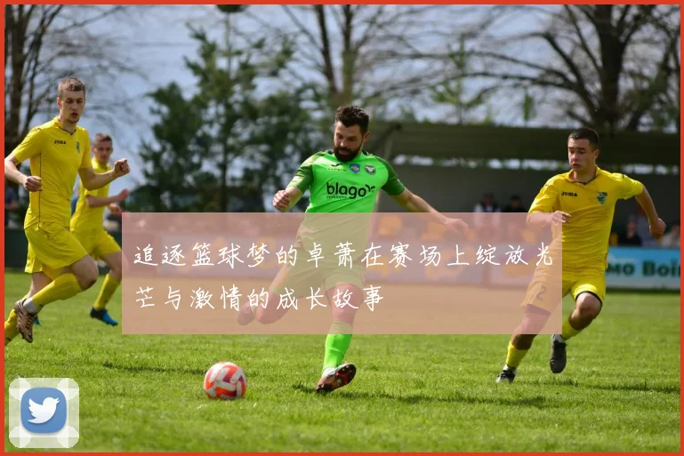 追逐篮球梦的卓萧在赛场上绽放光芒与激情的成长故事