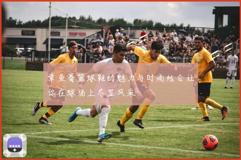 章鱼哥篮球鞋的魅力与时尚结合让你在球场上尽显风采